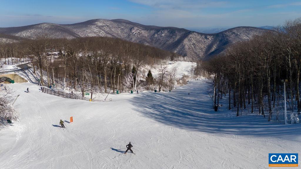 105 Eagles Court Wintergreen, VA 22967 - Photo 46 of 47 a view of outdoor space and yard