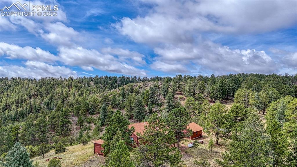 62 Cheyenne Road Florissant, CO 80816 - Photo 44 of 50