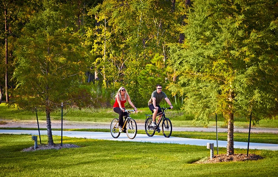 227 Biltmore Loop Montgomery, TX 77316 - Photo 24 of 25 a view of a park with big tree