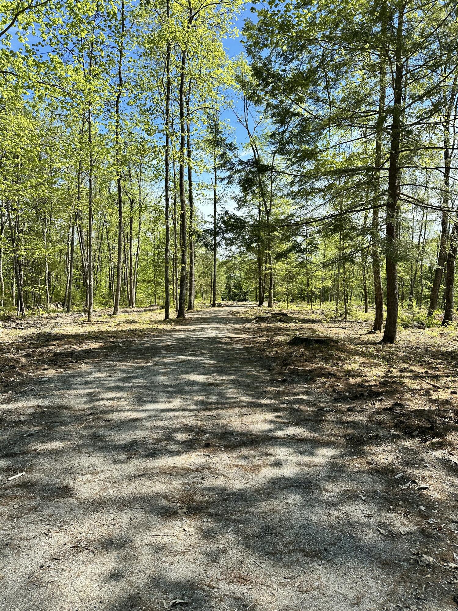 19 Grist Mill Road Naples, ME 04055 - Photo 17 of 31 Peaceful Setting
