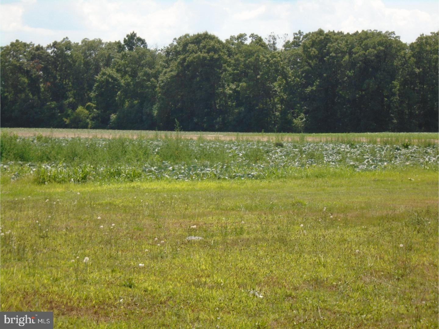 265 Wheat Road Vineland, NJ 08360 - Photo 17 of 21 View in Back