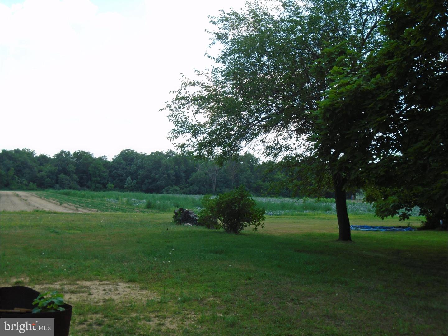 265 Wheat Road Vineland, NJ 08360 - Photo 18 of 21 Back Yard