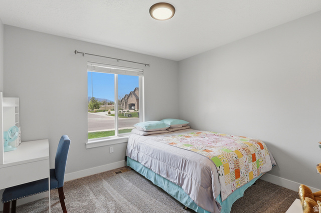 625 East 100 South Ephraim, UT 84627 - Photo 12 of 26 Bedroom featuring light gray walls, plush gray carpeting, and a recessed ceiling light