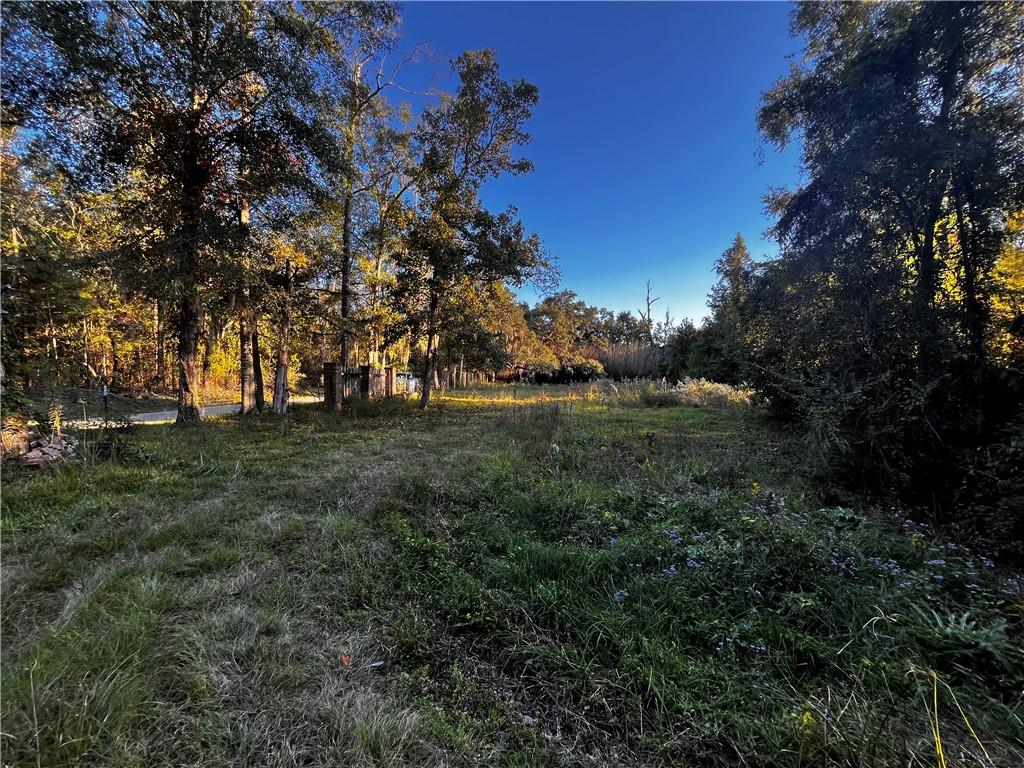 59465 Neslo Road Slidell, LA 70460 - Photo 2 of 10