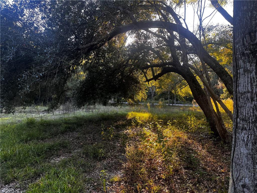 59465 Neslo Road Slidell, LA 70460 - Photo 3 of 10