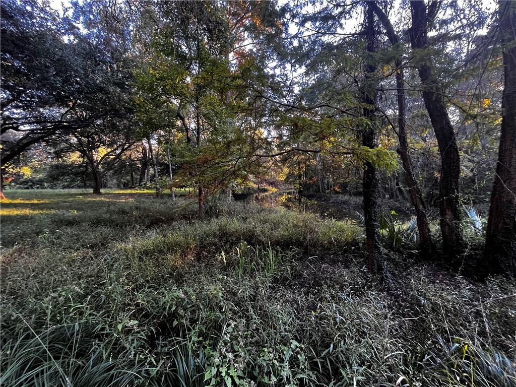 59465 Neslo Road Slidell, LA 70460 - Photo 4 of 10