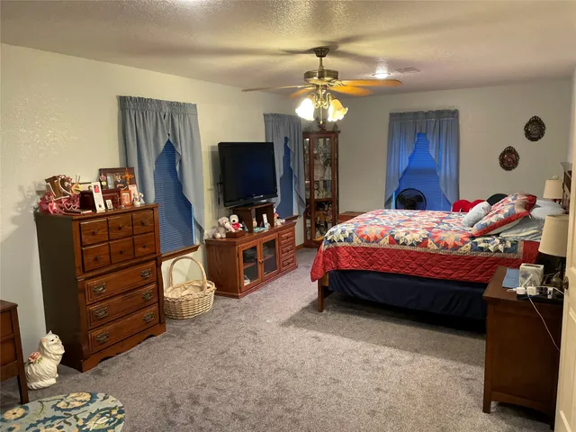 a bedroom with a bed closet and flat tv screen