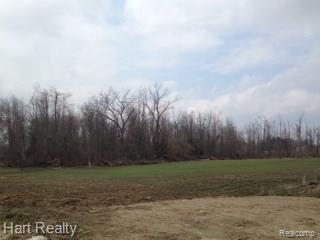 2 Sharp Road Clifford, MI 48727 - Photo 1 of 5 photo 1.jpg