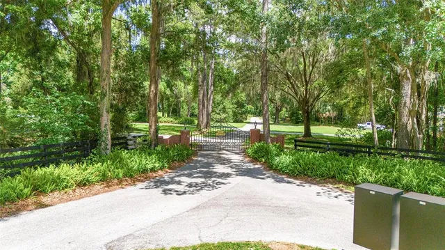 a view of a garden with a wooden fence