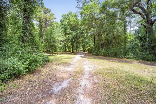 a view of a yard with a trees