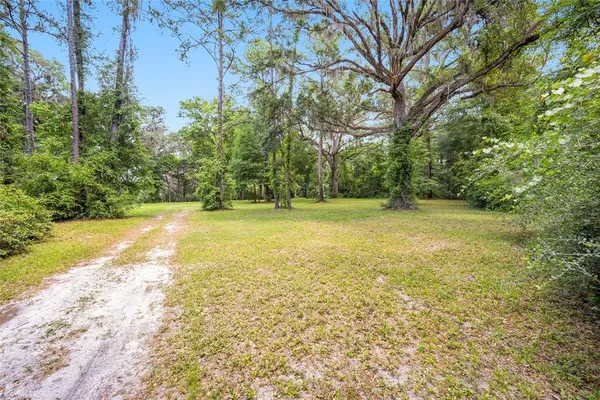 a view of a field with trees in the background