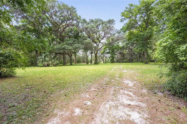 a view of a yard with a trees