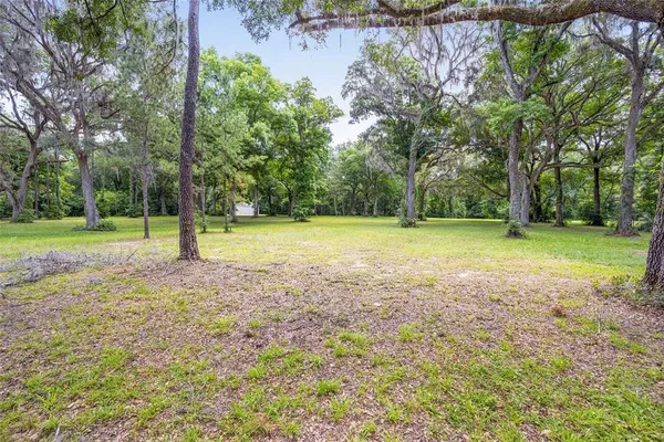 a view of outdoor space with trees all around