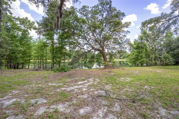 a view of a field with a trees