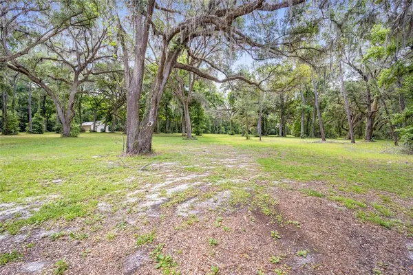 a big yard with lots of trees