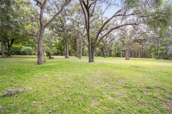 a view of a yard with a tree