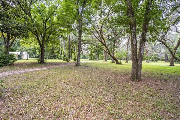 a view of a green field with lots of bushes