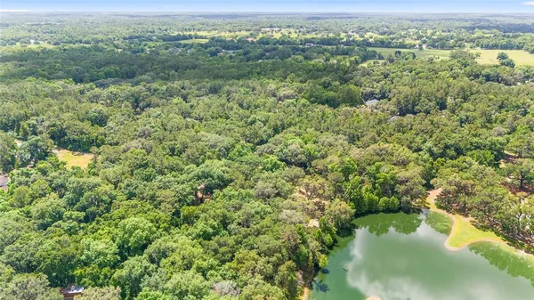 view of a city with lush green forest