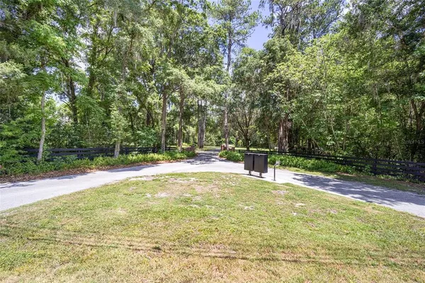 a view of outdoor space with trees all around