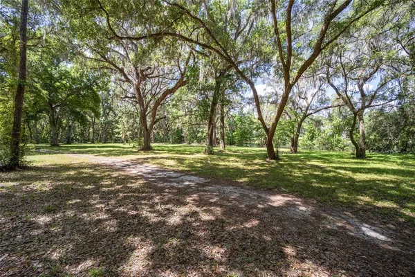 a view of a yard with large trees