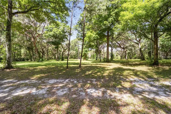 a view of outdoor space with trees