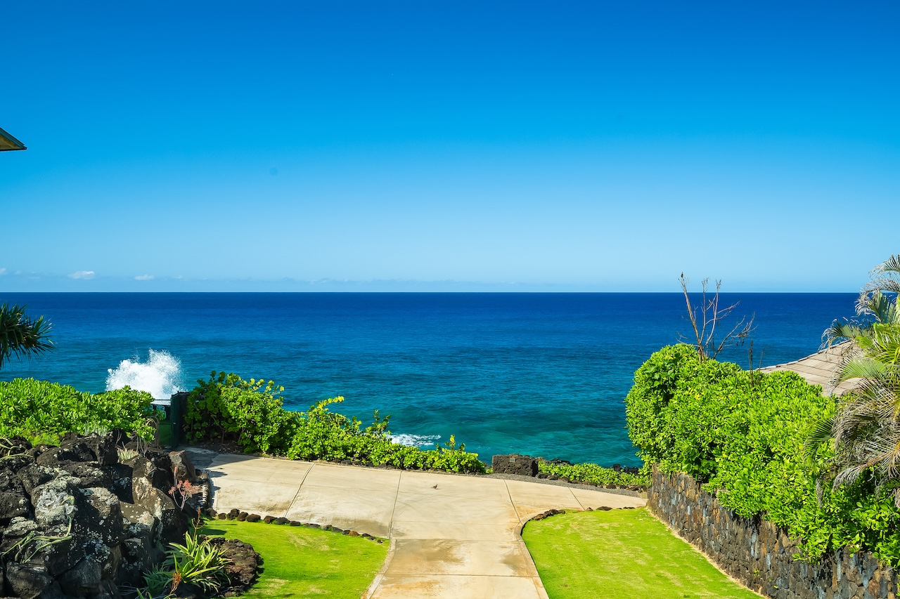 1801 Pe'e Road Koloa, HI 96756 - Photo 16 of 30 a view of a garden with an ocean