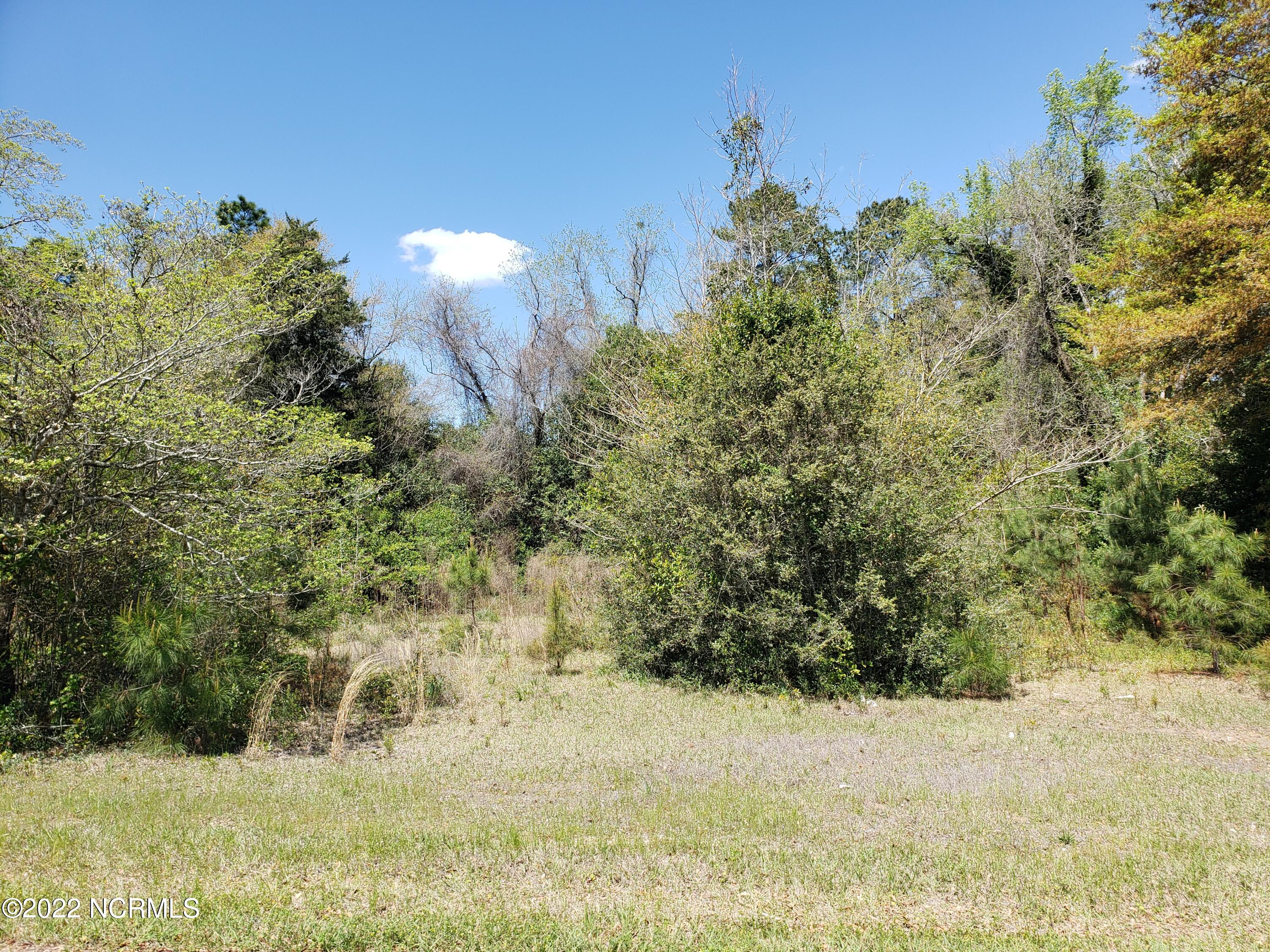 700 Academy Street Fair Bluff, NC 28439 - Photo 6 of 7 20220408_130157