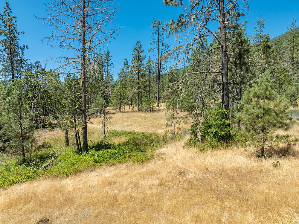 650 Gold Canyon Road Selma, OR 97538 - Photo 20 of 47 23