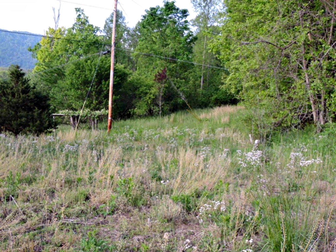 2575 Rackum Road Thorn Hill, TN 37881 - Photo 22 of 34 Electric On Property