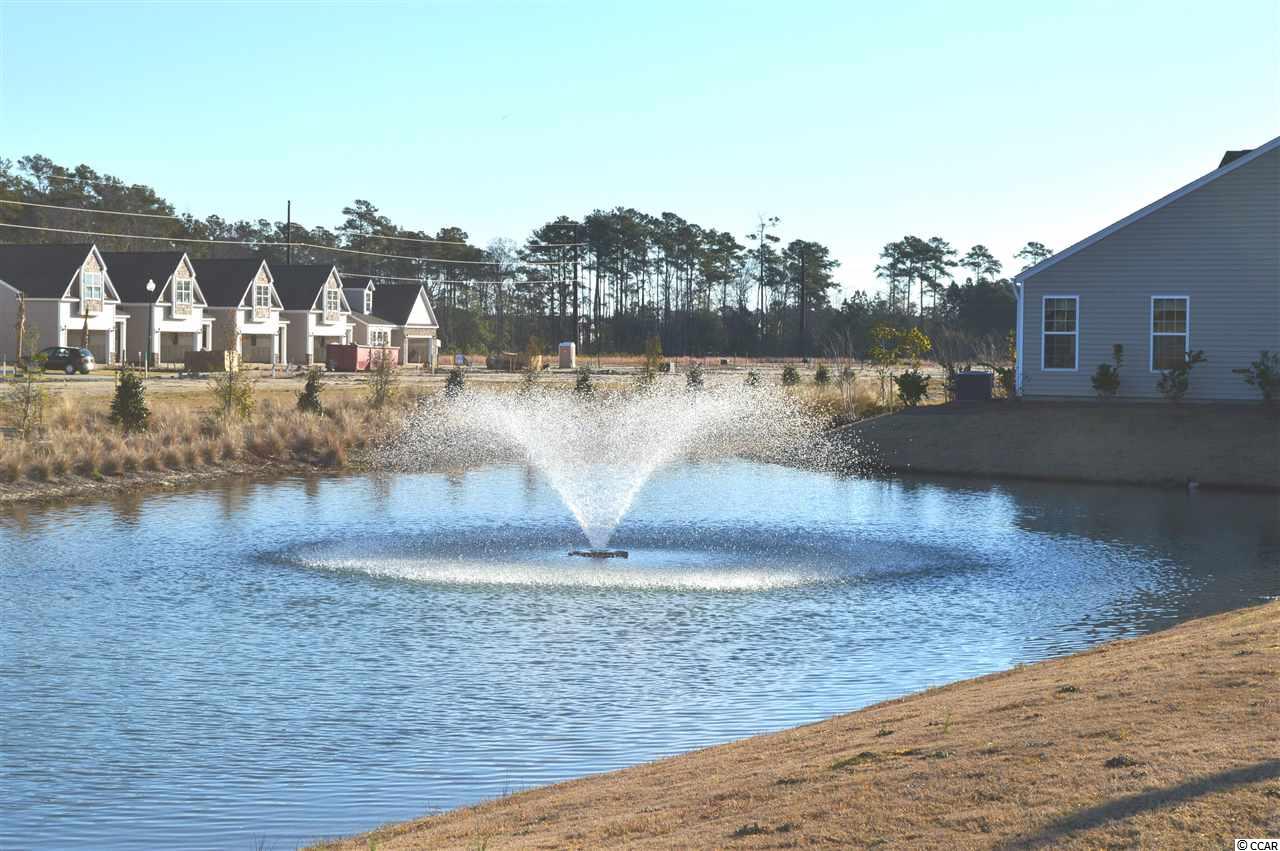 175 D Parmelee Drive, Unit 1101 Murrells Inlet, SC 29576 - Photo 25 of 25 Gallery Image 25