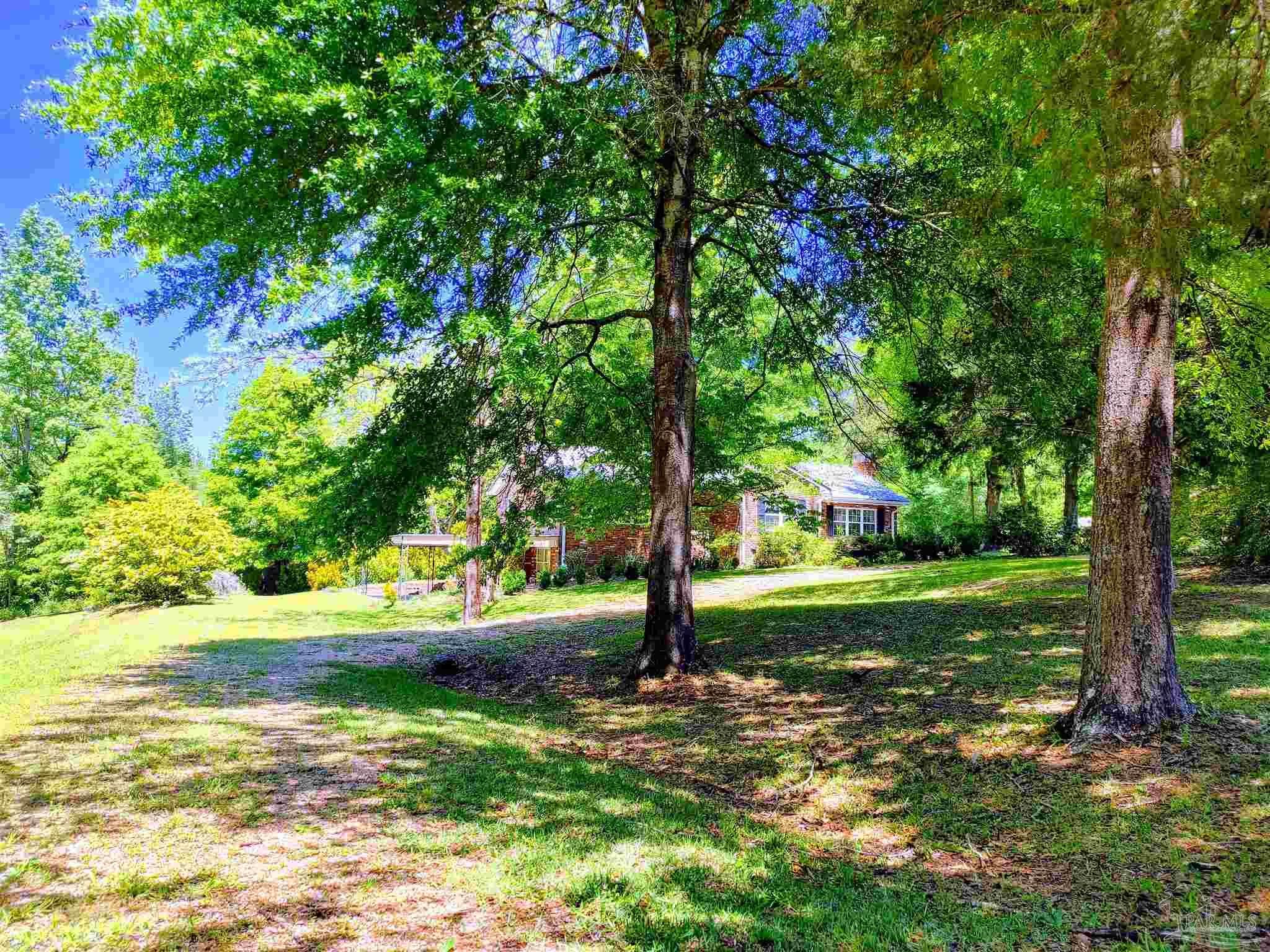 4770 Mosley Bridge Road Gilbertown, AL 36908 - Photo 22 of 44