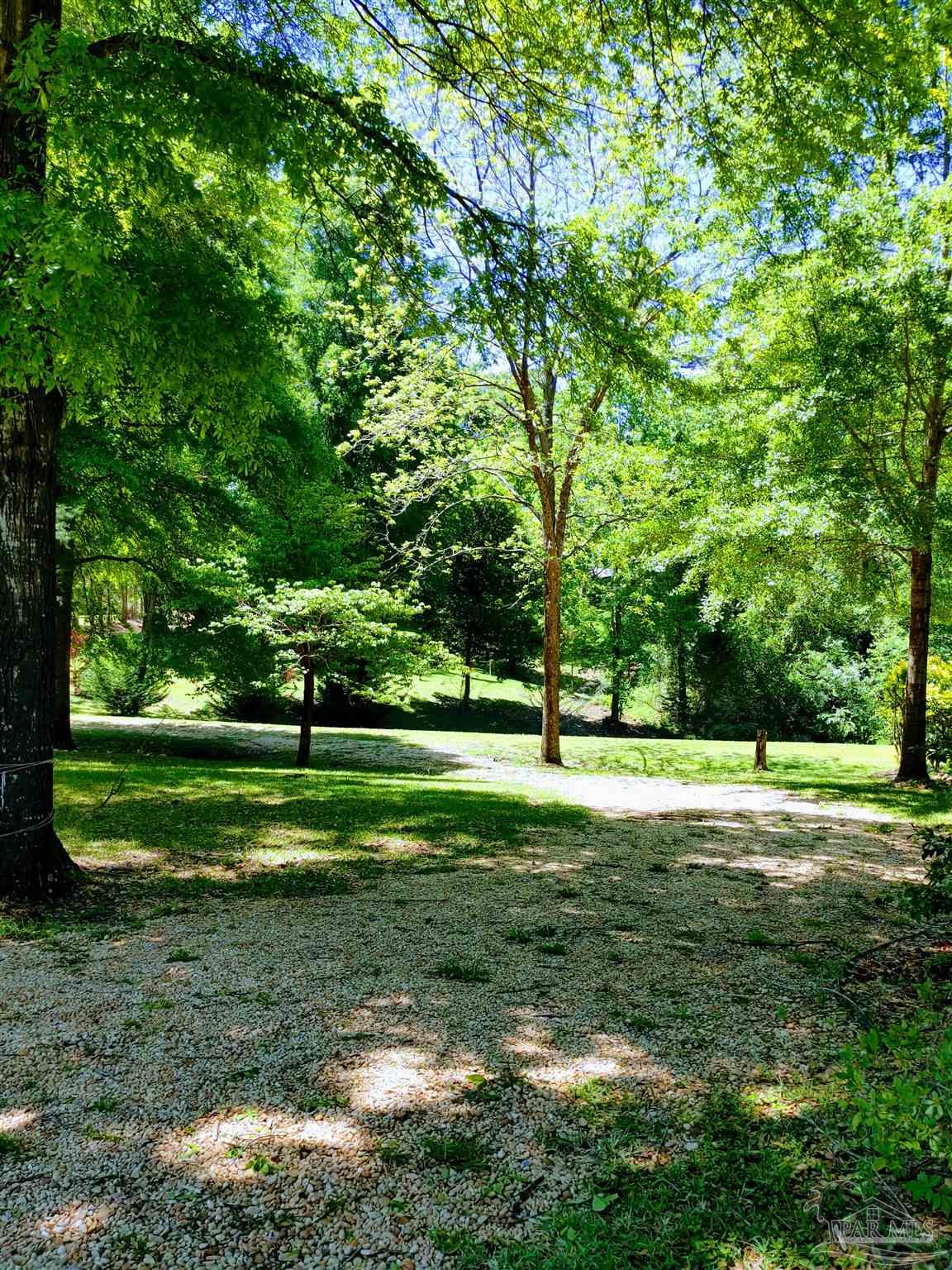 4770 Mosley Bridge Road Gilbertown, AL 36908 - Photo 30 of 44