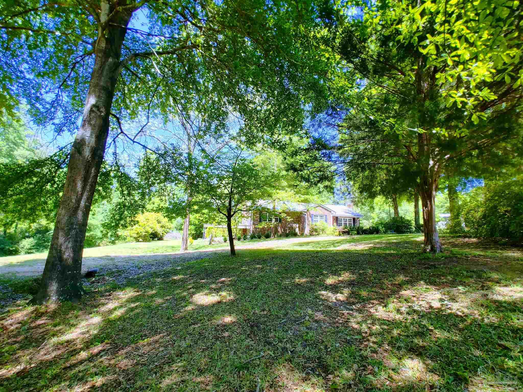 4770 Mosley Bridge Road Gilbertown, AL 36908 - Photo 4 of 44