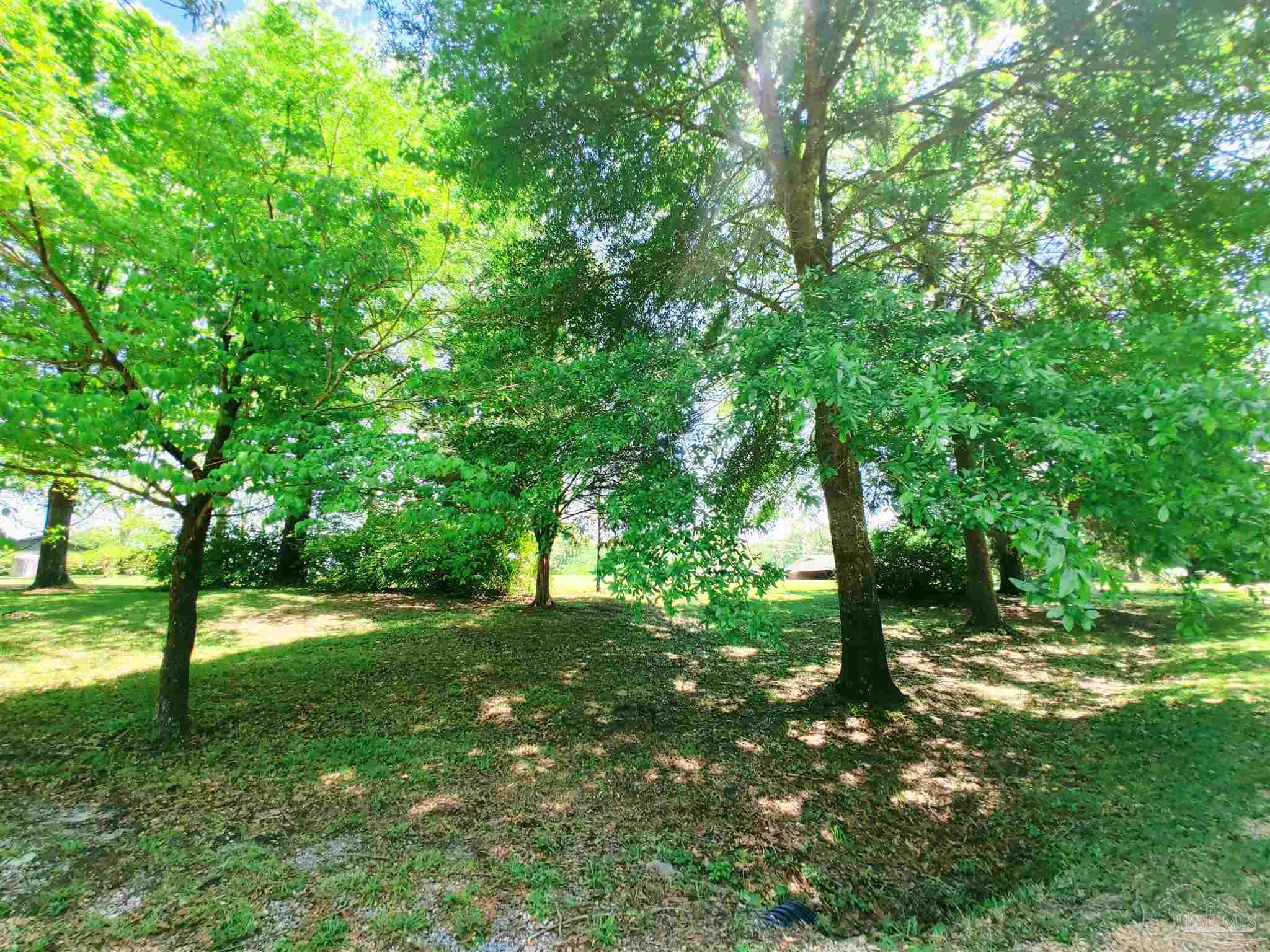 4770 Mosley Bridge Road Gilbertown, AL 36908 - Photo 44 of 44
