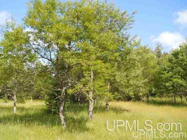 Tbd Tbd Off Stagecoach Road Michigamme, MI 49861 - Photo 9 of 37