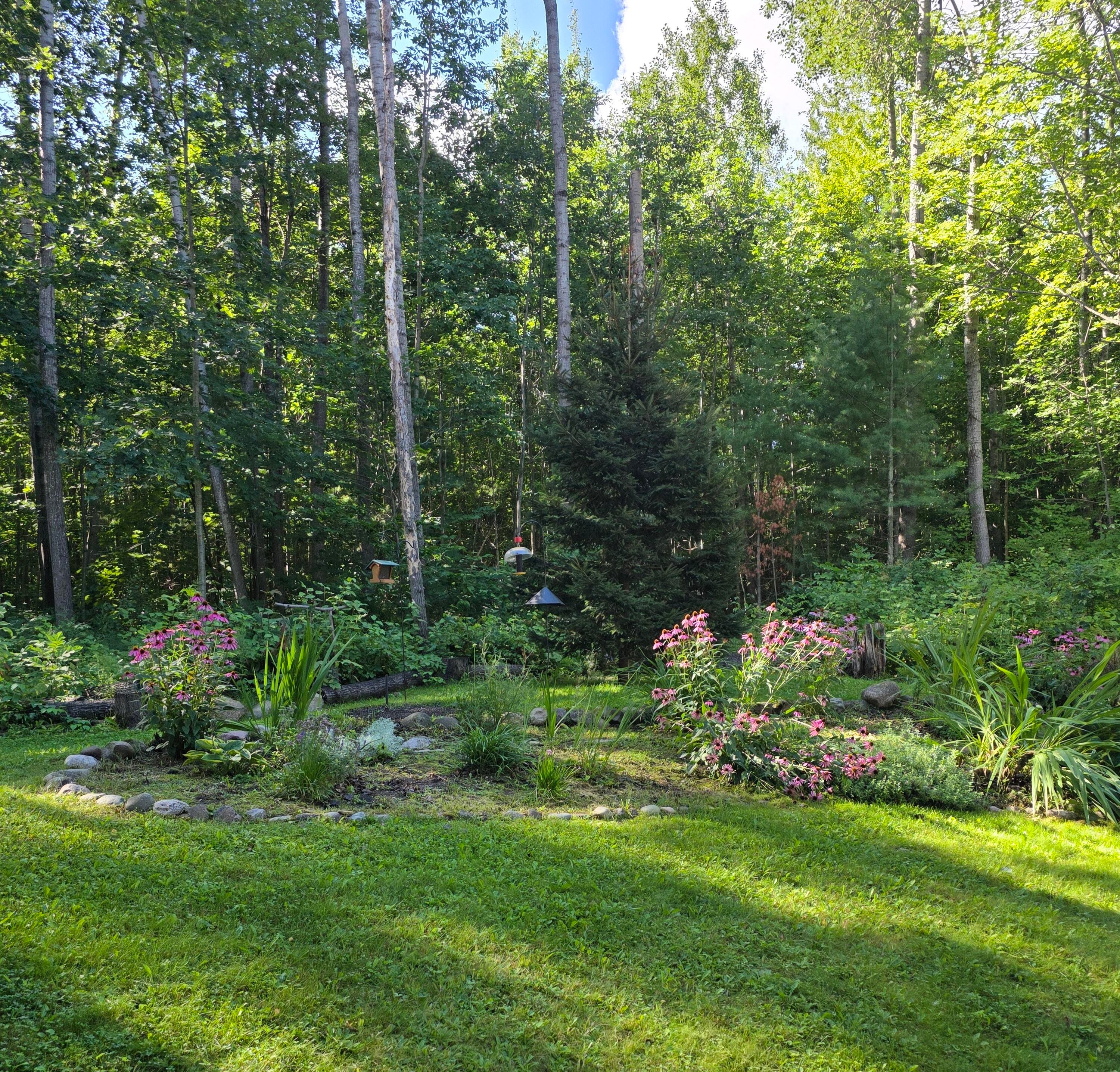 2590 East Hubert Road Spruce, MI 48762 - Photo 9 of 31 20250825_103111