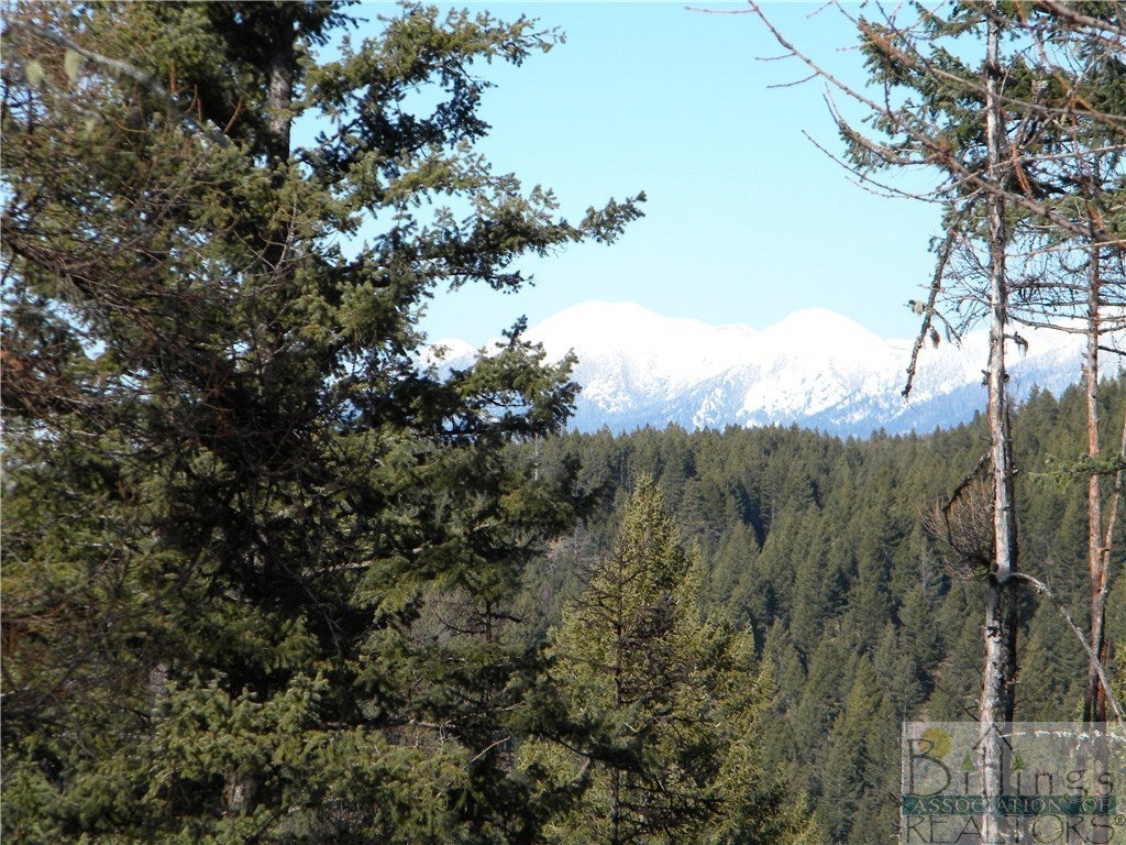 205 Timberjack Trail Bigfork, MT 59911 - Photo 1 of 1 Gallery Image 1