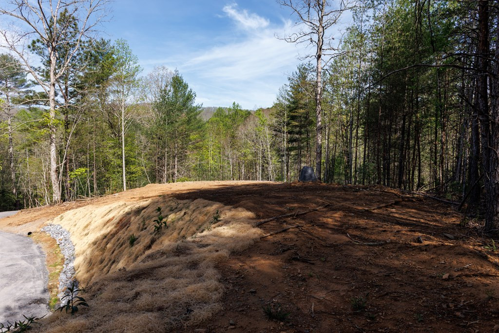 342 Hunter Ridge Murphy, NC 28906 - Photo 71 of 81