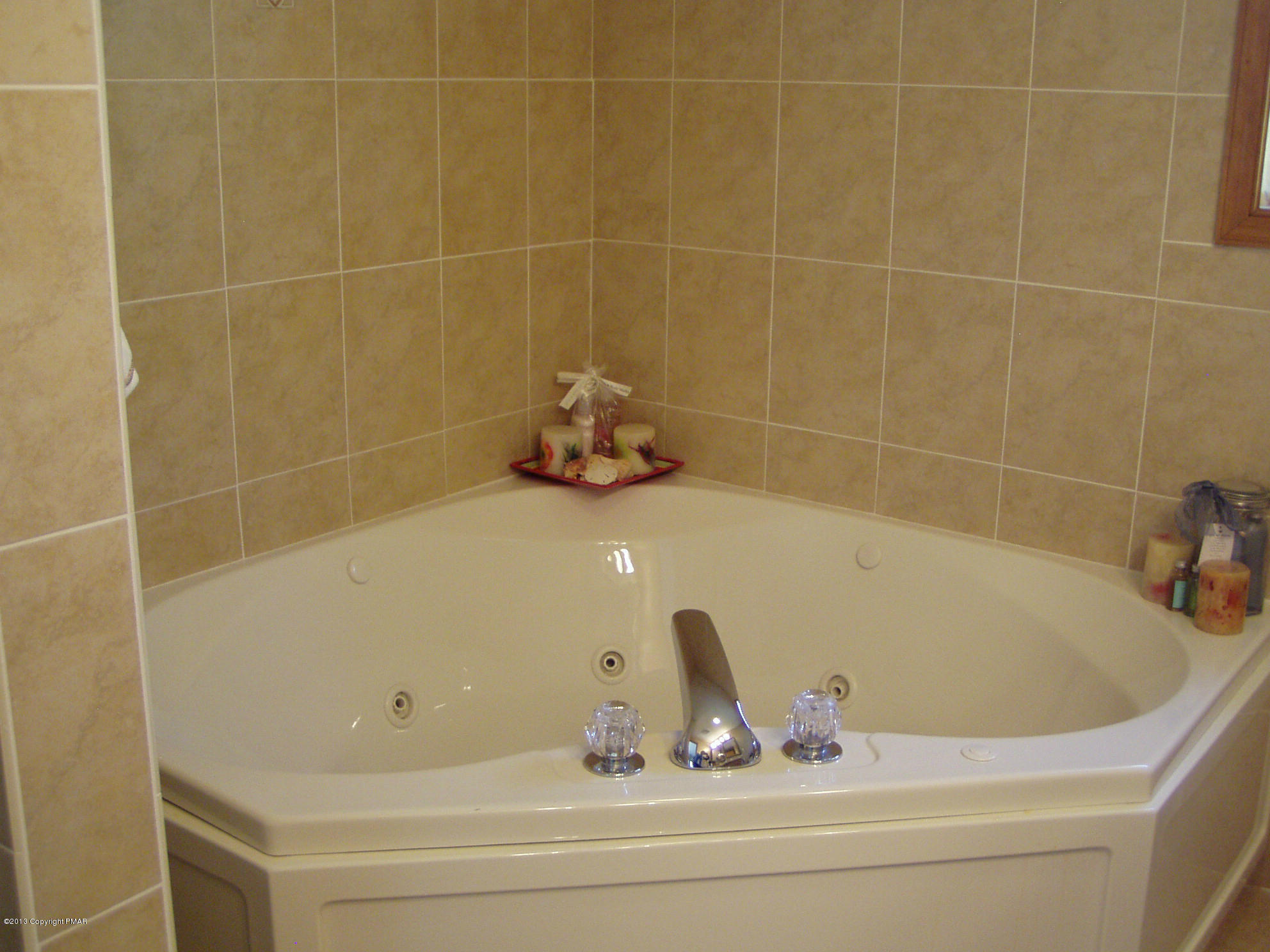 123 Alpine Road Henryville, PA 18332 - Photo 23 of 27 Jacuzzi in master bath