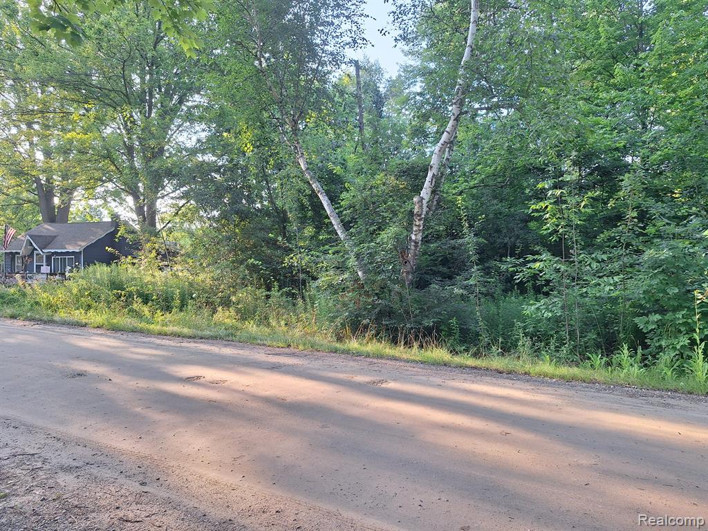 0 Birchwood Road Lexington, MI 48450 - Photo 1 of 7