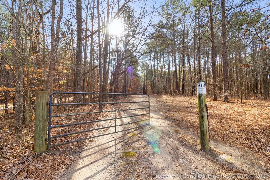 3478 Coleman Road Fayetteville, NC 28312 - Photo 6 of 50