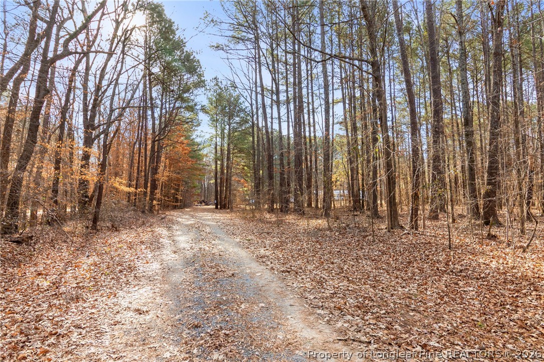 3478 Coleman Road Fayetteville, NC 28312 - Photo 8 of 50