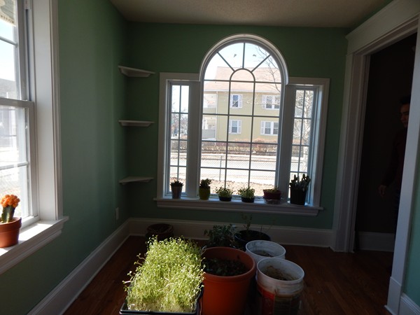 103 Edgewood Street Springfield, MA 01109 - Photo 10 of 29 Gallery Image 10