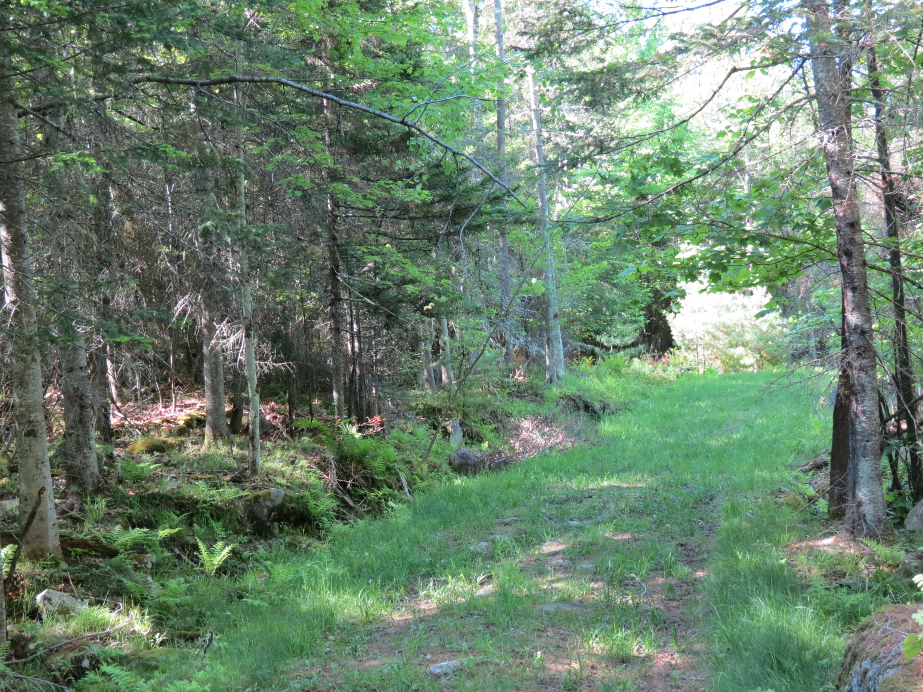 0 Trumbulls Road Upper Jay, NY 12987 - Photo 11 of 22