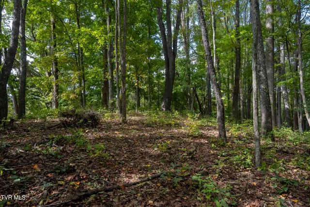 $30,000 | Lot 69 Wood Land Circle, Unit 69, Lebanon, VA 24266