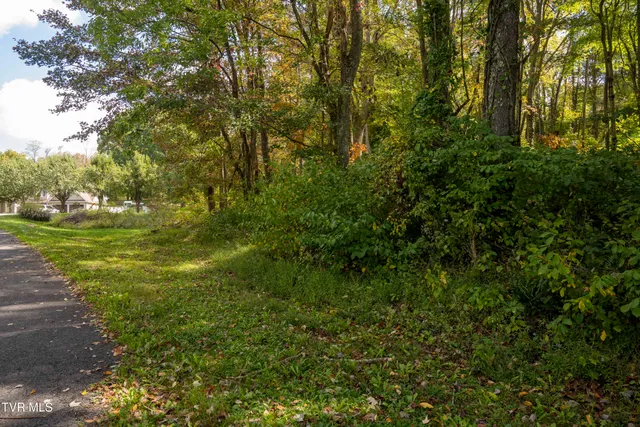 $30,000 | Lot 69 Wood Land Circle, Unit 69, Lebanon, VA 24266