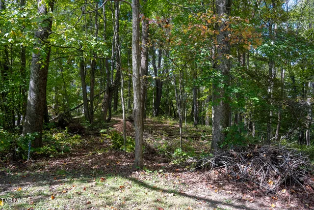 $30,000 | Lot 69 Wood Land Circle, Unit 69, Lebanon, VA 24266