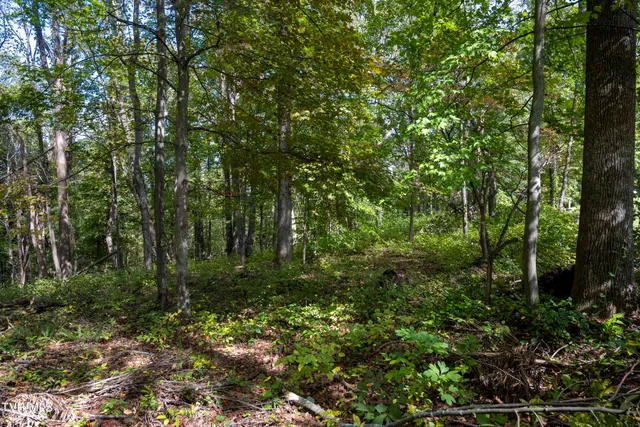 $30,000 | Lot 69 Wood Land Circle, Unit 69, Lebanon, VA 24266