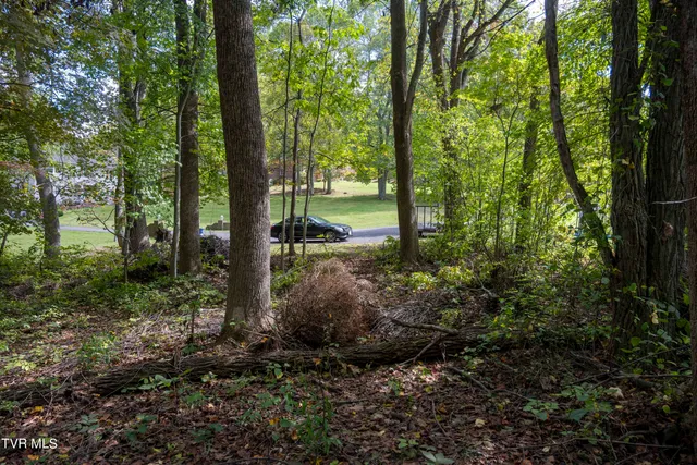 $30,000 | Lot 69 Wood Land Circle, Unit 69, Lebanon, VA 24266