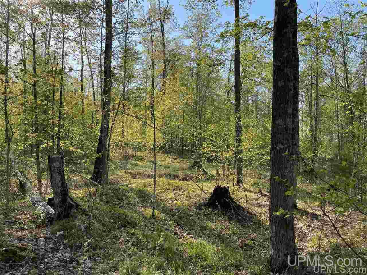 Tbd Sand Road, Unit 1 Powers, MI 49874 - Photo 37 of 47 Gallery Image 37